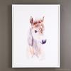baby horse portrait